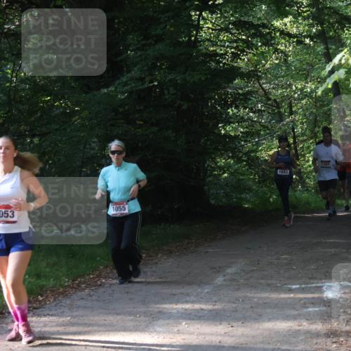 22.09.2024 - 32. Volkslauf durch das schöne Alstertal Luisa Fischer http://msf.ph/oto/7101811 22.09.2024 10:24:04 Laufen 1053, 1055, 1624, 1707, 1043 meine-sportfotos.de