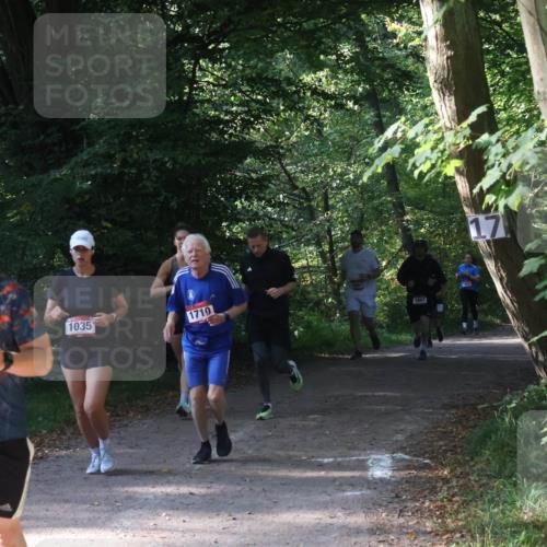 22.09.2024 - 32. Volkslauf durch das schöne Alstertal Luisa Fischer http://msf.ph/oto/7101824 22.09.2024 10:24:18 Laufen 1651, 1035, 1710, 1687, 1647 meine-sportfotos.de