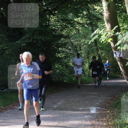 22.09.2024 - 32. Volkslauf durch das schöne Alstertal Luisa Fischer http://msf.ph/oto/7101827 22.09.2024 10:24:19 Laufen 1035, 1710, 1687, 1647, 1052, 17 meine-sportfotos.de