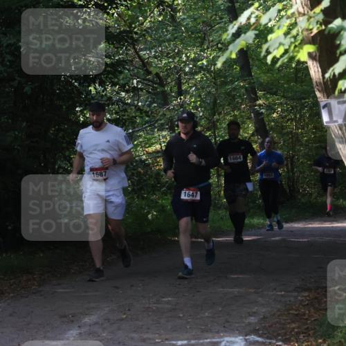 22.09.2024 - 32. Volkslauf durch das schöne Alstertal Luisa Fischer http://msf.ph/oto/7101828 22.09.2024 10:24:20 Laufen 1687, 1647, 1664, 17, 1061, 1052 meine-sportfotos.de