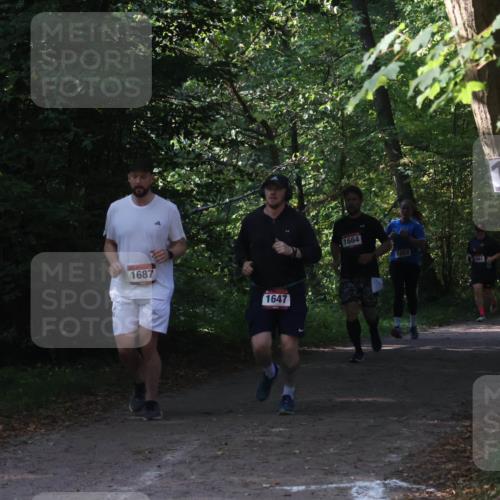 22.09.2024 - 32. Volkslauf durch das schöne Alstertal Luisa Fischer http://msf.ph/oto/7101829 22.09.2024 10:24:21 Laufen 1687, 1647, 1664, 17 meine-sportfotos.de