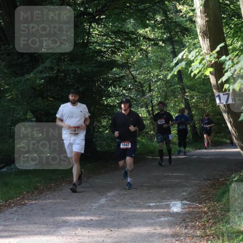 22.09.2024 - 32. Volkslauf durch das schöne Alstertal Luisa Fischer http://msf.ph/oto/7101830 22.09.2024 10:24:21 Laufen 1687, 1647, 1664, 1052, 17 meine-sportfotos.de