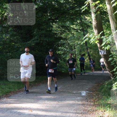 22.09.2024 - 32. Volkslauf durch das schöne Alstertal Luisa Fischer http://msf.ph/oto/7101831 22.09.2024 10:24:22 Laufen 1687, 1647, 1664 meine-sportfotos.de
