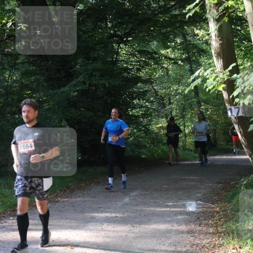 22.09.2024 - 32. Volkslauf durch das schöne Alstertal Luisa Fischer http://msf.ph/oto/7101839 22.09.2024 10:24:26 Laufen 1664, 1635 meine-sportfotos.de