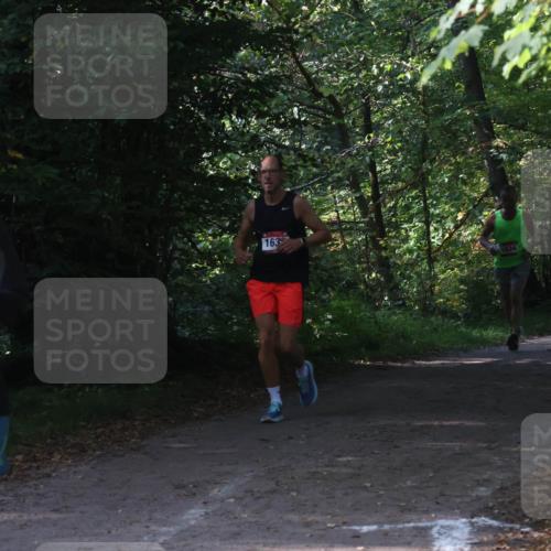 22.09.2024 - 32. Volkslauf durch das schöne Alstertal Luisa Fischer http://msf.ph/oto/7101847 22.09.2024 10:24:32 Laufen 1589, 17, 163, 1668 meine-sportfotos.de