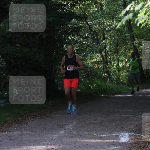 22.09.2024 - 32. Volkslauf durch das schöne Alstertal Luisa Fischer http://msf.ph/oto/7101848 22.09.2024 10:24:33 Laufen 1589, 163, 17 meine-sportfotos.de