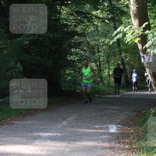 22.09.2024 - 32. Volkslauf durch das schöne Alstertal Luisa Fischer http://msf.ph/oto/7101849 22.09.2024 10:24:36 Laufen 635, 1634, 1668 meine-sportfotos.de