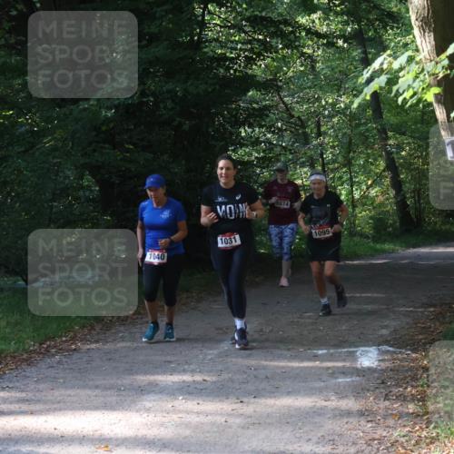 22.09.2024 - 32. Volkslauf durch das schöne Alstertal Luisa Fischer http://msf.ph/oto/7101852 22.09.2024 10:24:44 Laufen 1040, 1031, 1074, 1095 meine-sportfotos.de