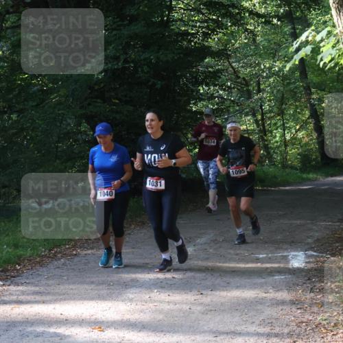 22.09.2024 - 32. Volkslauf durch das schöne Alstertal Luisa Fischer http://msf.ph/oto/7101853 22.09.2024 10:24:44 Laufen 1040, 1031, 1074, 1095 meine-sportfotos.de