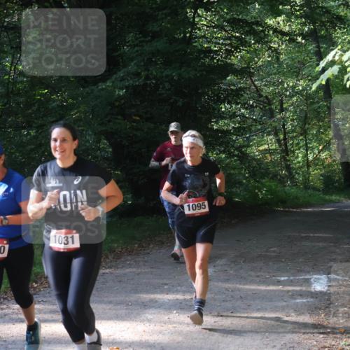 22.09.2024 - 32. Volkslauf durch das schöne Alstertal Luisa Fischer http://msf.ph/oto/7101854 22.09.2024 10:24:46 Laufen 1040, 1031, 1095, 17 meine-sportfotos.de