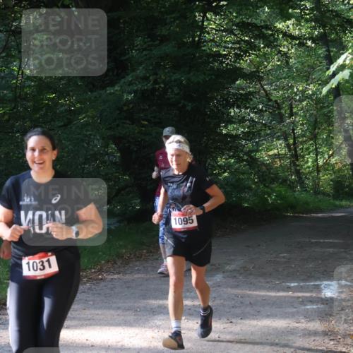 22.09.2024 - 32. Volkslauf durch das schöne Alstertal Luisa Fischer http://msf.ph/oto/7101855 22.09.2024 10:24:46 Laufen 1040, 1031, 1095 meine-sportfotos.de