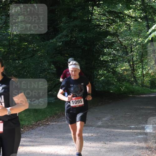 22.09.2024 - 32. Volkslauf durch das schöne Alstertal Luisa Fischer http://msf.ph/oto/7101856 22.09.2024 10:24:46 Laufen 1031, 1095, 1058, 17 meine-sportfotos.de
