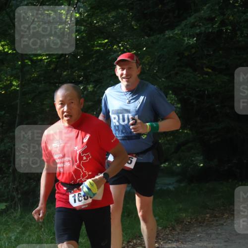 22.09.2024 - 32. Volkslauf durch das schöne Alstertal Luisa Fischer http://msf.ph/oto/7101870 22.09.2024 10:25:10 Laufen 2012, 1660, 2024, 1049 meine-sportfotos.de