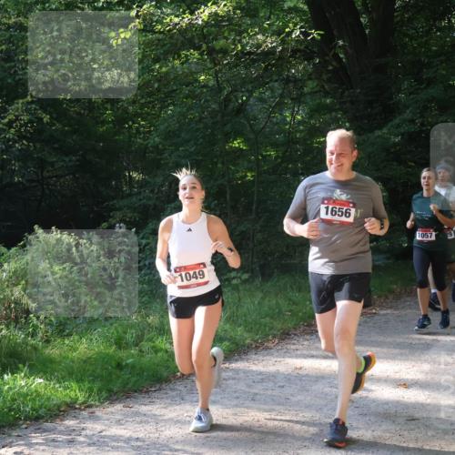 22.09.2024 - 32. Volkslauf durch das schöne Alstertal Luisa Fischer http://msf.ph/oto/7101876 22.09.2024 10:25:33 Laufen 1049, 1656, 1057, 1641 meine-sportfotos.de