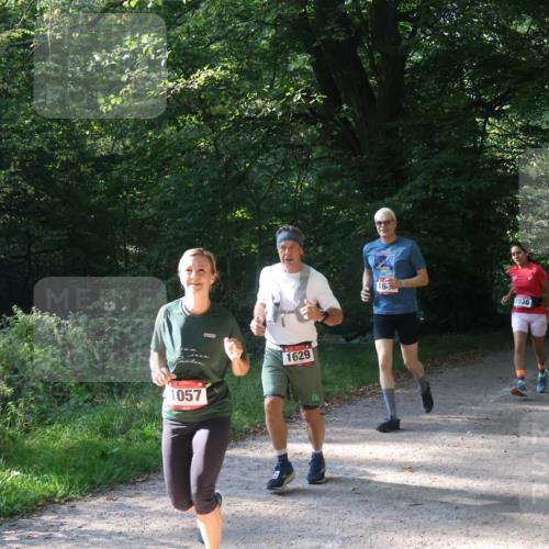 22.09.2024 - 32. Volkslauf durch das schöne Alstertal Luisa Fischer http://msf.ph/oto/7101878 22.09.2024 10:25:35 Laufen 1057, 1629, 16, 1036, 1030 meine-sportfotos.de