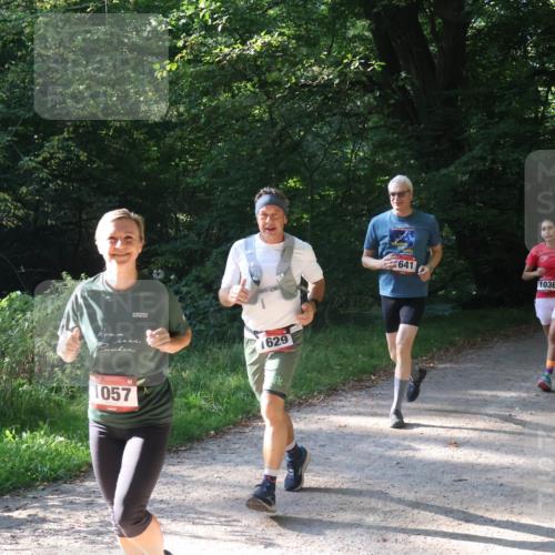 22.09.2024 - 32. Volkslauf durch das schöne Alstertal Luisa Fischer http://msf.ph/oto/7101879 22.09.2024 10:25:35 Laufen 1057, 1629, 641, 1036, 1030 meine-sportfotos.de