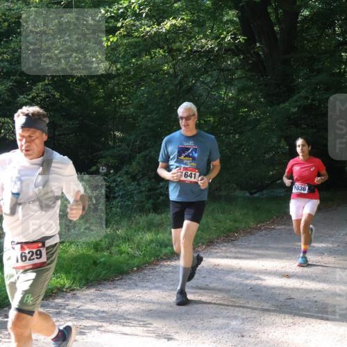 22.09.2024 - 32. Volkslauf durch das schöne Alstertal Luisa Fischer http://msf.ph/oto/7101881 22.09.2024 10:25:36 Laufen 1629, 641, 1036, 1030 meine-sportfotos.de