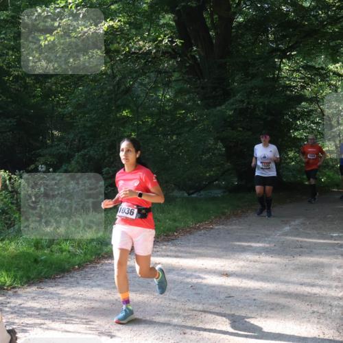 22.09.2024 - 32. Volkslauf durch das schöne Alstertal Luisa Fischer http://msf.ph/oto/7101882 22.09.2024 10:25:37 Laufen 047, 1036, 1030, 1659 meine-sportfotos.de