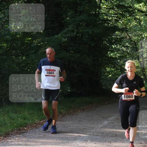 22.09.2024 - 32. Volkslauf durch das schöne Alstertal Luisa Fischer http://msf.ph/oto/7101888 22.09.2024 10:25:46 Laufen 1665, 1060 meine-sportfotos.de