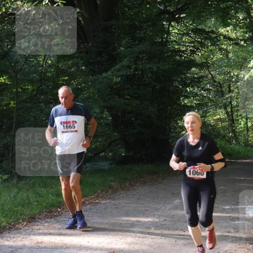 22.09.2024 - 32. Volkslauf durch das schöne Alstertal Luisa Fischer http://msf.ph/oto/7101889 22.09.2024 10:25:46 Laufen 1665, 1060, 17 meine-sportfotos.de