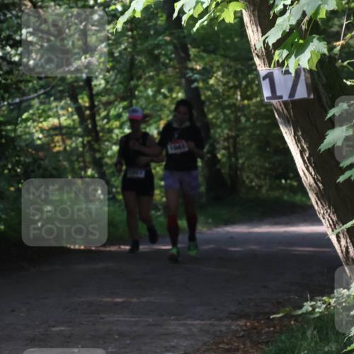 22.09.2024 - 32. Volkslauf durch das schöne Alstertal Luisa Fischer http://msf.ph/oto/7101900 22.09.2024 10:26:13 Laufen 17 meine-sportfotos.de