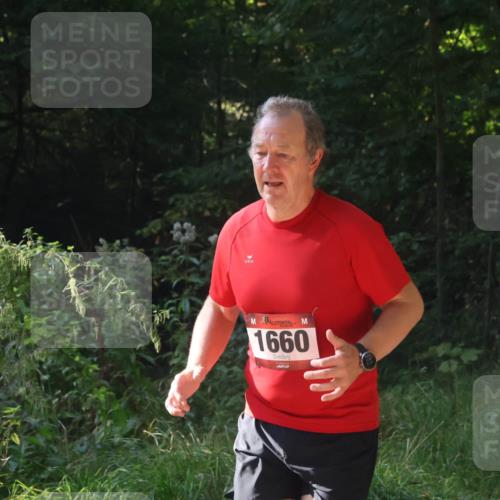 22.09.2024 - 32. Volkslauf durch das schöne Alstertal Luisa Fischer http://msf.ph/oto/7101916 22.09.2024 10:27:15 Laufen 1660 meine-sportfotos.de