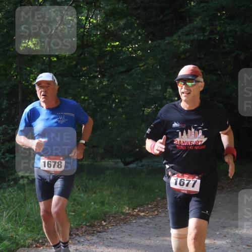 22.09.2024 - 32. Volkslauf durch das schöne Alstertal Luisa Fischer http://msf.ph/oto/7101923 22.09.2024 10:27:24 Laufen 1678, 1677 meine-sportfotos.de