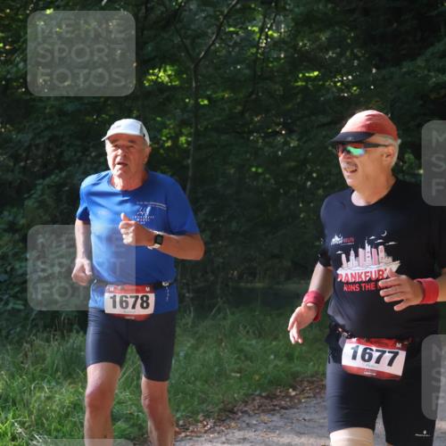 22.09.2024 - 32. Volkslauf durch das schöne Alstertal Luisa Fischer http://msf.ph/oto/7101924 22.09.2024 10:27:25 Laufen 1678, 1677 meine-sportfotos.de