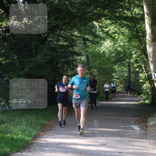 22.09.2024 - 32. Volkslauf durch das schöne Alstertal Luisa Fischer http://msf.ph/oto/7101935 22.09.2024 10:28:30 Laufen 1077, 1681, 1069, 17 meine-sportfotos.de