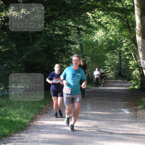 22.09.2024 - 32. Volkslauf durch das schöne Alstertal Luisa Fischer http://msf.ph/oto/7101937 22.09.2024 10:28:31 Laufen 1077, 1681, 17 meine-sportfotos.de