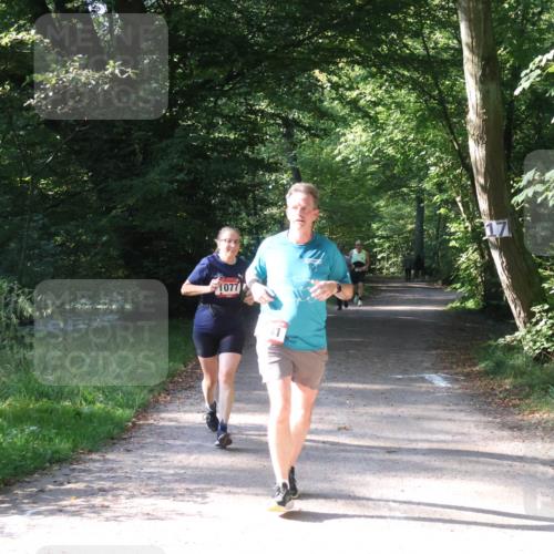 22.09.2024 - 32. Volkslauf durch das schöne Alstertal Luisa Fischer http://msf.ph/oto/7101939 22.09.2024 10:28:32 Laufen 1077 meine-sportfotos.de