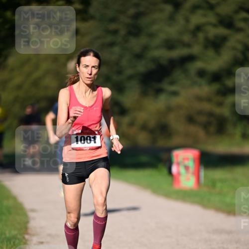 22.09.2024 - 32. Volkslauf durch das schöne Alstertal Dr. Thomas Lammeyer http://msf.ph/oto/7104142 22.09.2024 10:04:22 Laufen 1001, 120 meine-sportfotos.de