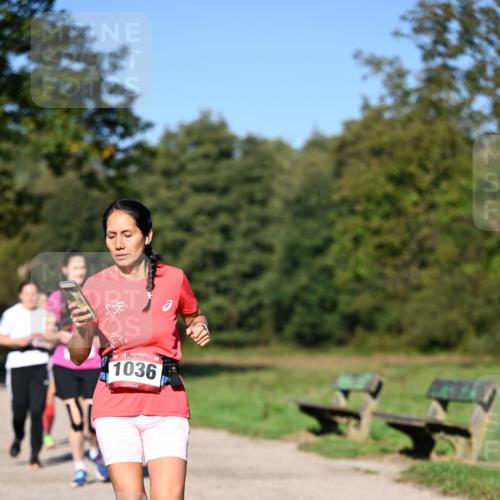22.09.2024 - 32. Volkslauf durch das schöne Alstertal Dr. Thomas Lammeyer http://msf.ph/oto/7105946 22.09.2024 10:07:32 Laufen 1036 meine-sportfotos.de
