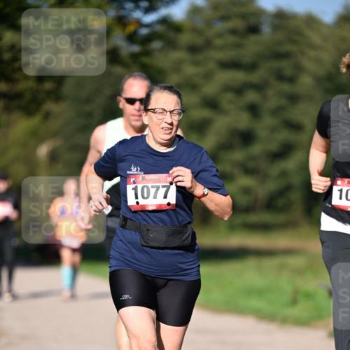 22.09.2024 - 32. Volkslauf durch das schöne Alstertal Dr. Thomas Lammeyer http://msf.ph/oto/7106078 22.09.2024 10:07:51 Laufen 1077, 10 meine-sportfotos.de