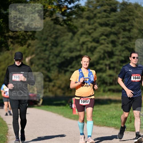 22.09.2024 - 32. Volkslauf durch das schöne Alstertal Dr. Thomas Lammeyer http://msf.ph/oto/7106114 22.09.2024 10:07:58 Laufen 168, 1648, 1080 meine-sportfotos.de