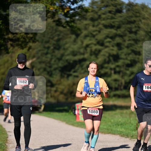 22.09.2024 - 32. Volkslauf durch das schöne Alstertal Dr. Thomas Lammeyer http://msf.ph/oto/7106117 22.09.2024 10:07:58 Laufen 1682, 1080, 164 meine-sportfotos.de