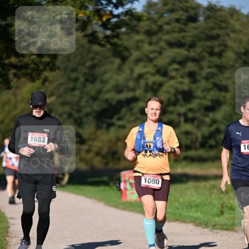 22.09.2024 - 32. Volkslauf durch das schöne Alstertal Dr. Thomas Lammeyer http://msf.ph/oto/7106121 22.09.2024 10:07:58 Laufen 1682, 1080, 16 meine-sportfotos.de