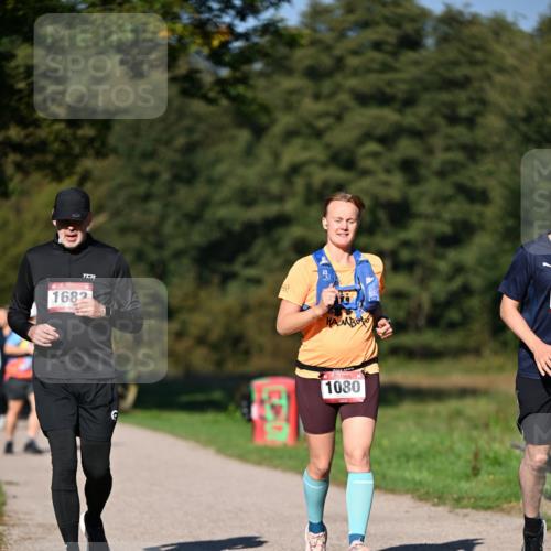 22.09.2024 - 32. Volkslauf durch das schöne Alstertal Dr. Thomas Lammeyer http://msf.ph/oto/7106125 22.09.2024 10:07:59 Laufen 1682, 600, 1080 meine-sportfotos.de