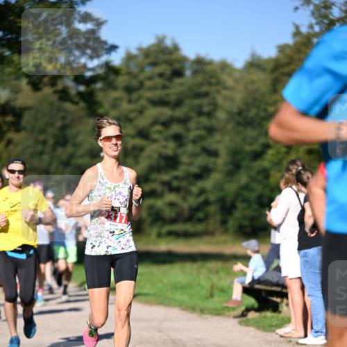 22.09.2024 - 32. Volkslauf durch das schöne Alstertal Dr. Thomas Lammeyer http://msf.ph/oto/7106444 22.09.2024 10:24:54 Laufen 2317 meine-sportfotos.de