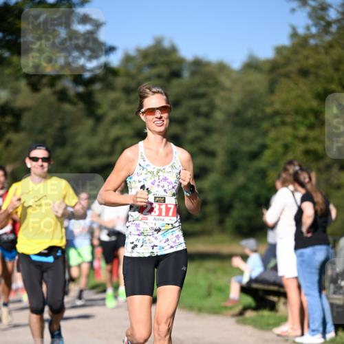 22.09.2024 - 32. Volkslauf durch das schöne Alstertal Dr. Thomas Lammeyer http://msf.ph/oto/7106453 22.09.2024 10:24:55 Laufen 317 meine-sportfotos.de