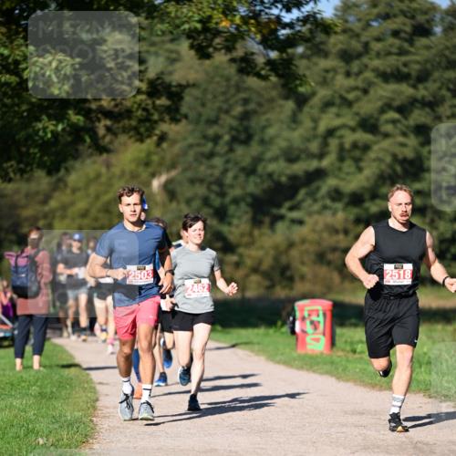 22.09.2024 - 32. Volkslauf durch das schöne Alstertal Dr. Thomas Lammeyer http://msf.ph/oto/7106513 22.09.2024 10:25:03 Laufen 2503, 2462, 2518 meine-sportfotos.de