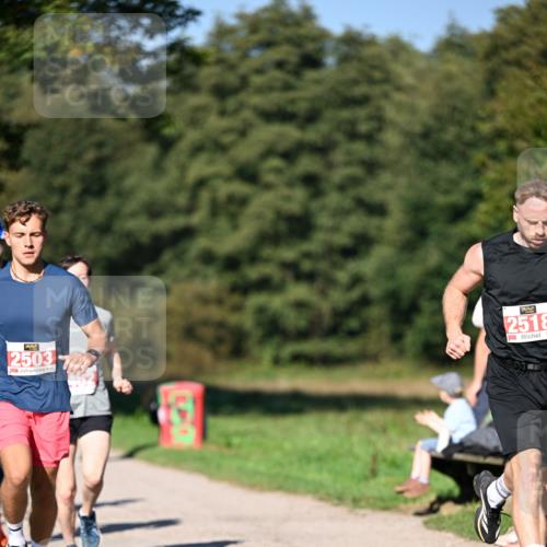 22.09.2024 - 32. Volkslauf durch das schöne Alstertal Dr. Thomas Lammeyer http://msf.ph/oto/7106530 22.09.2024 10:25:05 Laufen 2503, 2518 meine-sportfotos.de