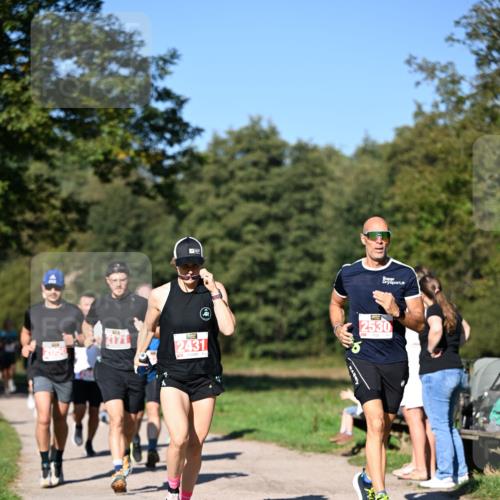 22.09.2024 - 32. Volkslauf durch das schöne Alstertal Dr. Thomas Lammeyer http://msf.ph/oto/7106566 22.09.2024 10:25:11 Laufen 2431, 2530 meine-sportfotos.de