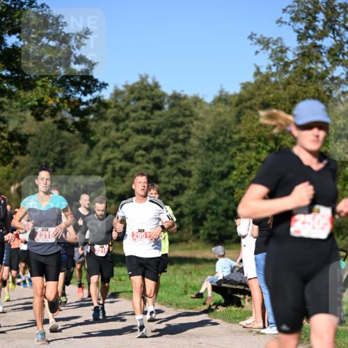 22.09.2024 - 32. Volkslauf durch das schöne Alstertal Dr. Thomas Lammeyer http://msf.ph/oto/7106623 22.09.2024 10:25:22 Laufen 2318, 2951 meine-sportfotos.de