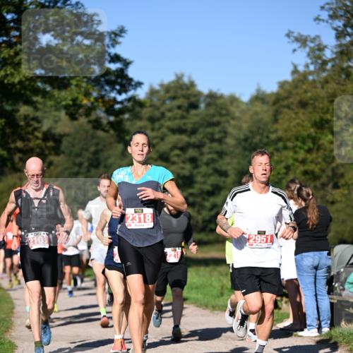 22.09.2024 - 32. Volkslauf durch das schöne Alstertal Dr. Thomas Lammeyer http://msf.ph/oto/7106630 22.09.2024 10:25:23 Laufen 2103, 2318, 2951 meine-sportfotos.de
