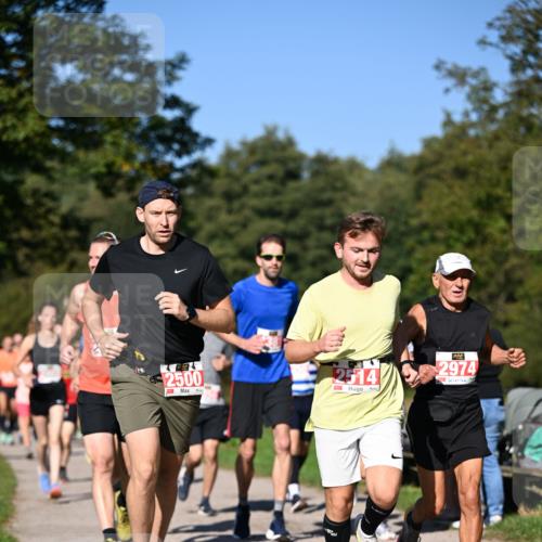 22.09.2024 - 32. Volkslauf durch das schöne Alstertal Dr. Thomas Lammeyer http://msf.ph/oto/7106668 22.09.2024 10:25:29 Laufen 2500, 2514, 2974 meine-sportfotos.de