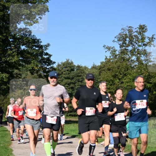 22.09.2024 - 32. Volkslauf durch das schöne Alstertal Dr. Thomas Lammeyer http://msf.ph/oto/7106776 22.09.2024 10:25:50 Laufen 444 meine-sportfotos.de