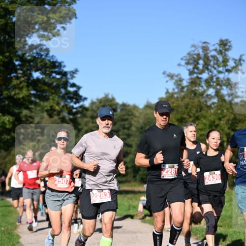 22.09.2024 - 32. Volkslauf durch das schöne Alstertal Dr. Thomas Lammeyer http://msf.ph/oto/7106779 22.09.2024 10:25:50 Laufen 2507, 283, 2281, 2430, 2019 meine-sportfotos.de