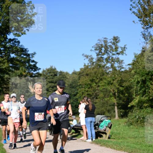 22.09.2024 - 32. Volkslauf durch das schöne Alstertal Dr. Thomas Lammeyer http://msf.ph/oto/7107043 22.09.2024 10:26:43 Laufen 2460, 2418 meine-sportfotos.de