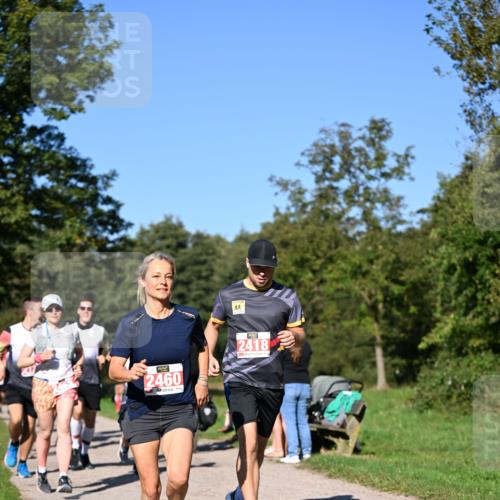 22.09.2024 - 32. Volkslauf durch das schöne Alstertal Dr. Thomas Lammeyer http://msf.ph/oto/7107045 22.09.2024 10:26:43 Laufen 2460, 2418 meine-sportfotos.de